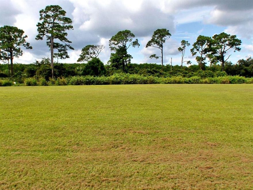 Beautiful natural preserve home site, wonderful opportunity to own this land and build a dream home in Florida. Lot backs up to Putt Creek part of the North Fork River chain.