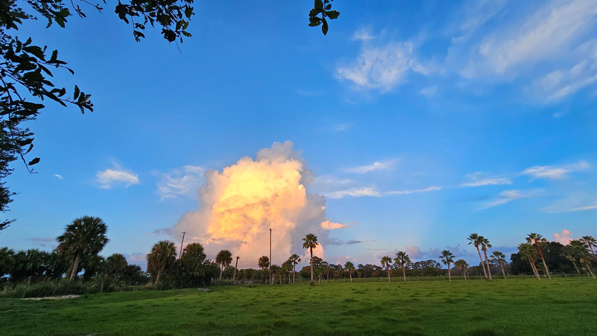 REPLAT OF SABAL TRACE SUB - Residential Lease