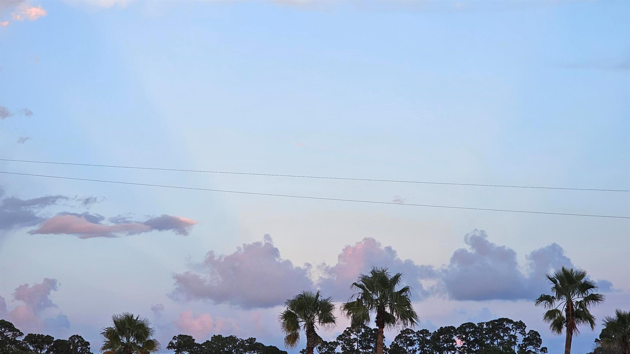 REPLAT OF SABAL TRACE SUB - Residential Lease