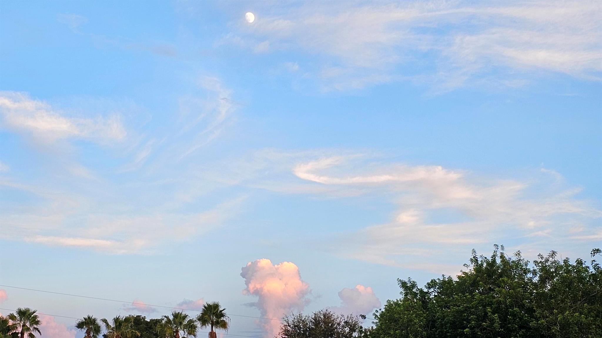 REPLAT OF SABAL TRACE SUB - Residential Lease