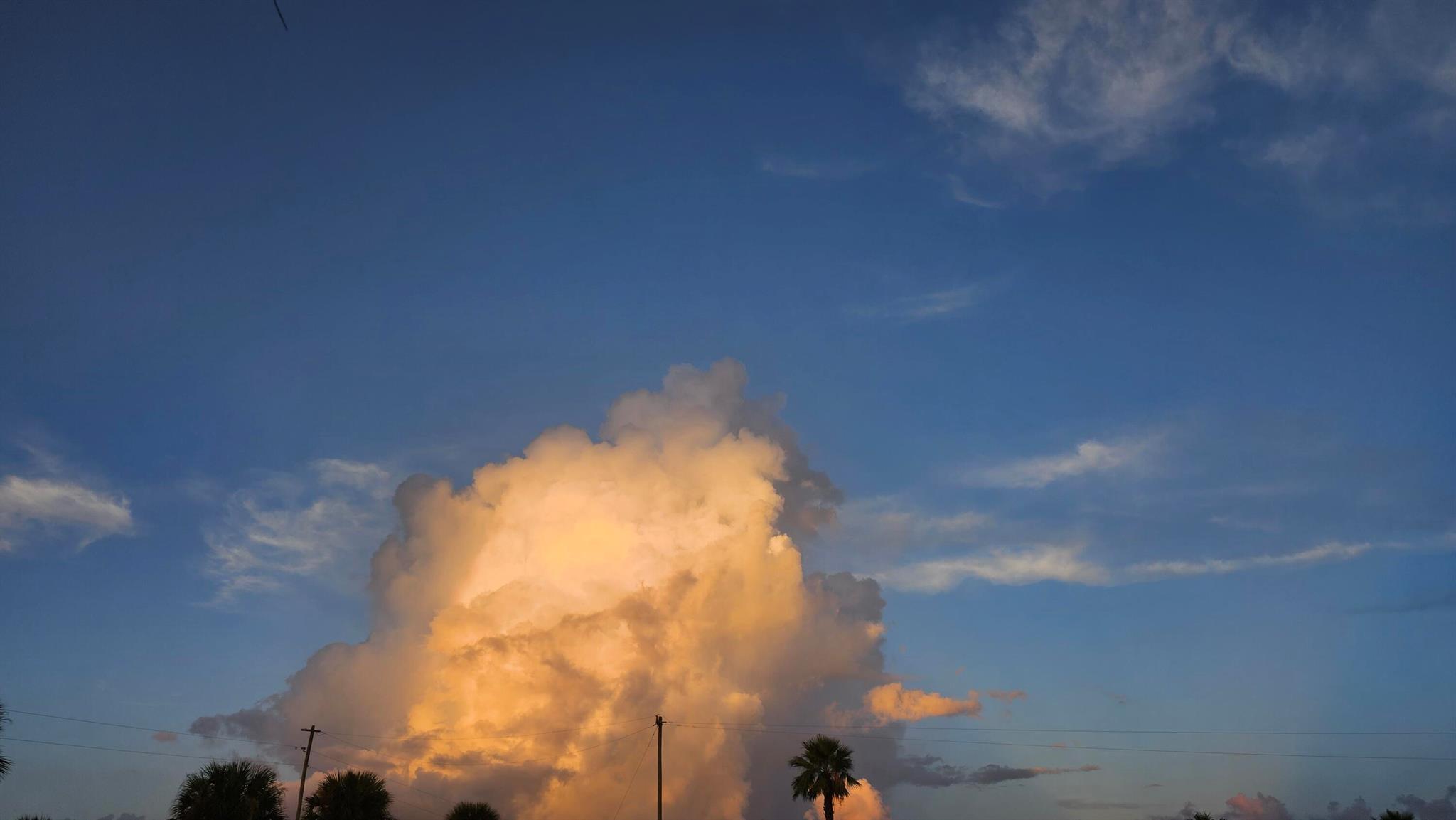 REPLAT OF SABAL TRACE SUB - Residential Lease