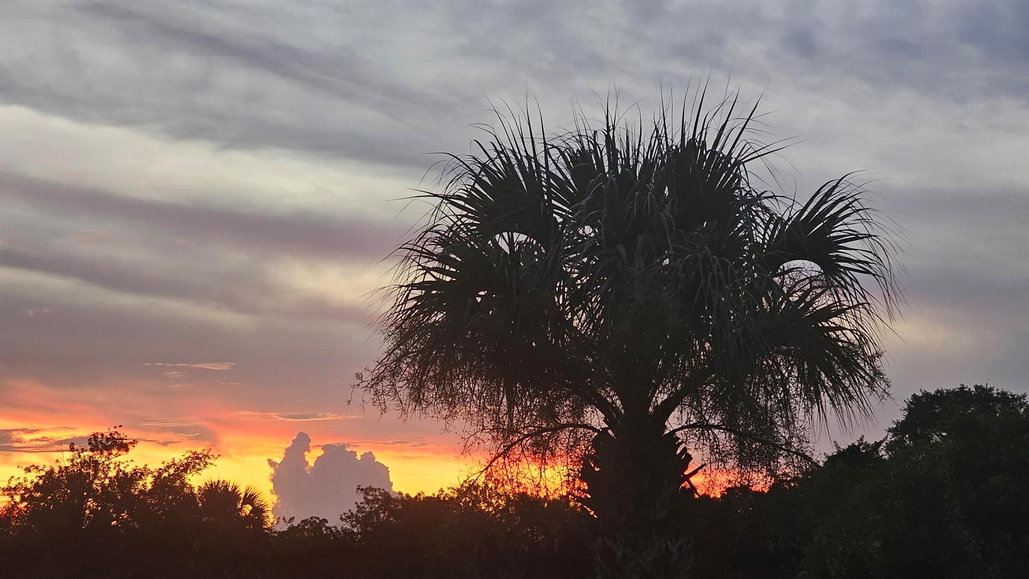 REPLAT OF SABAL TRACE SUB - Residential Lease