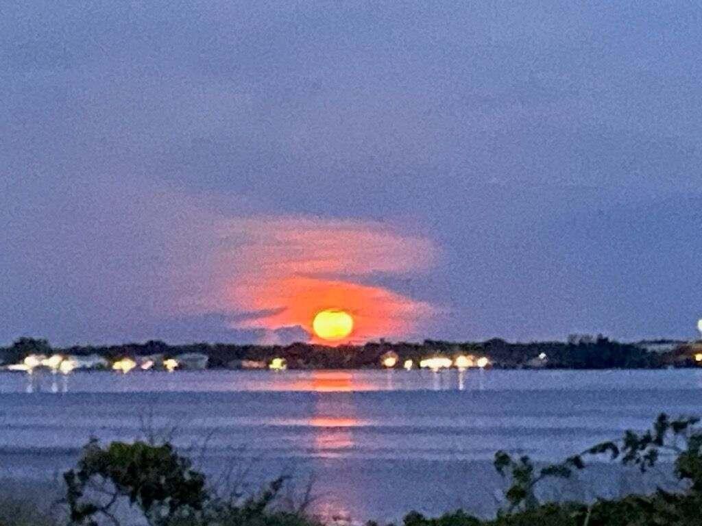 REPLAT OF SABAL TRACE SUB - Residential Lease