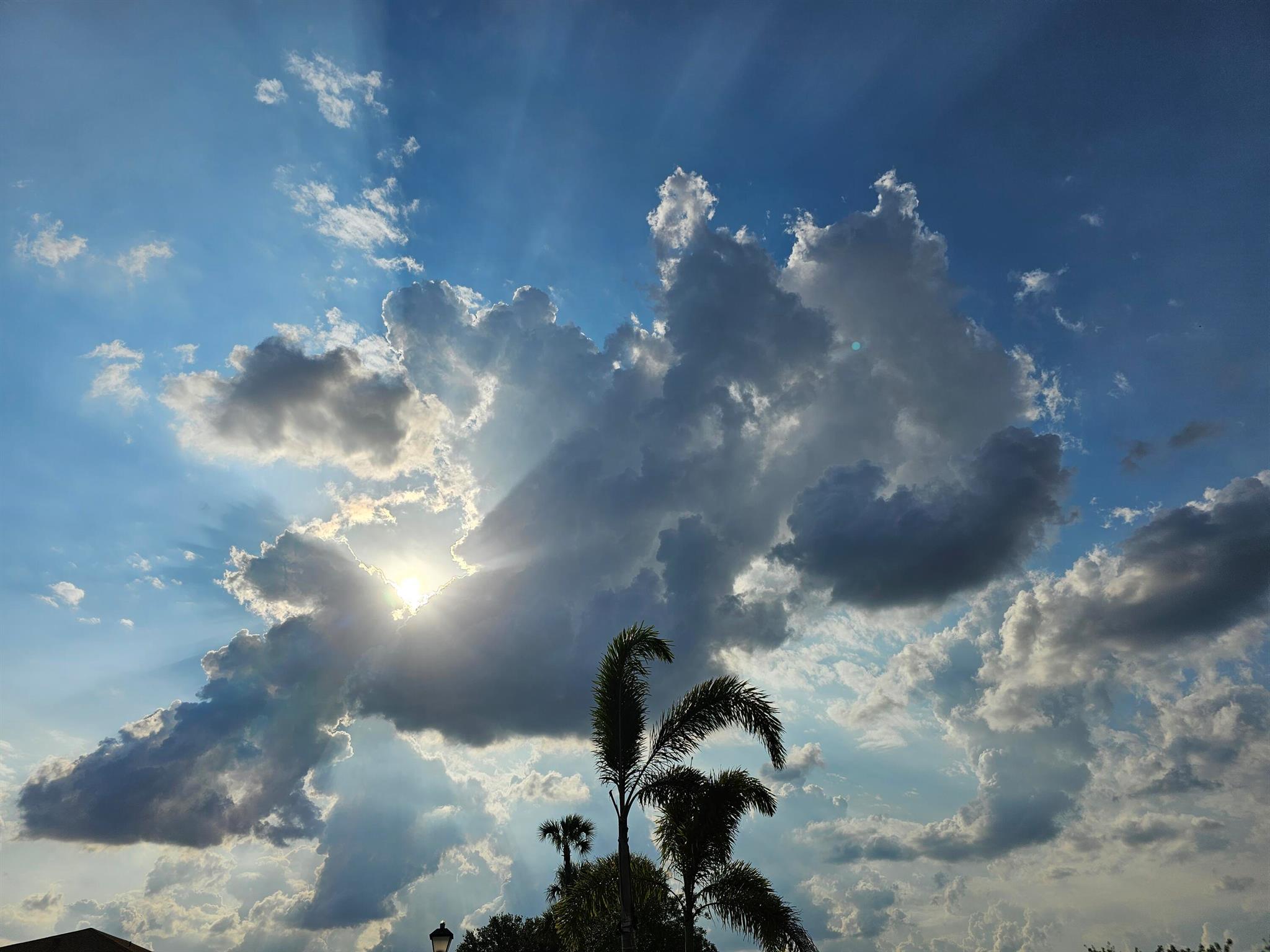 REPLAT OF SABAL TRACE SUB - Residential Lease