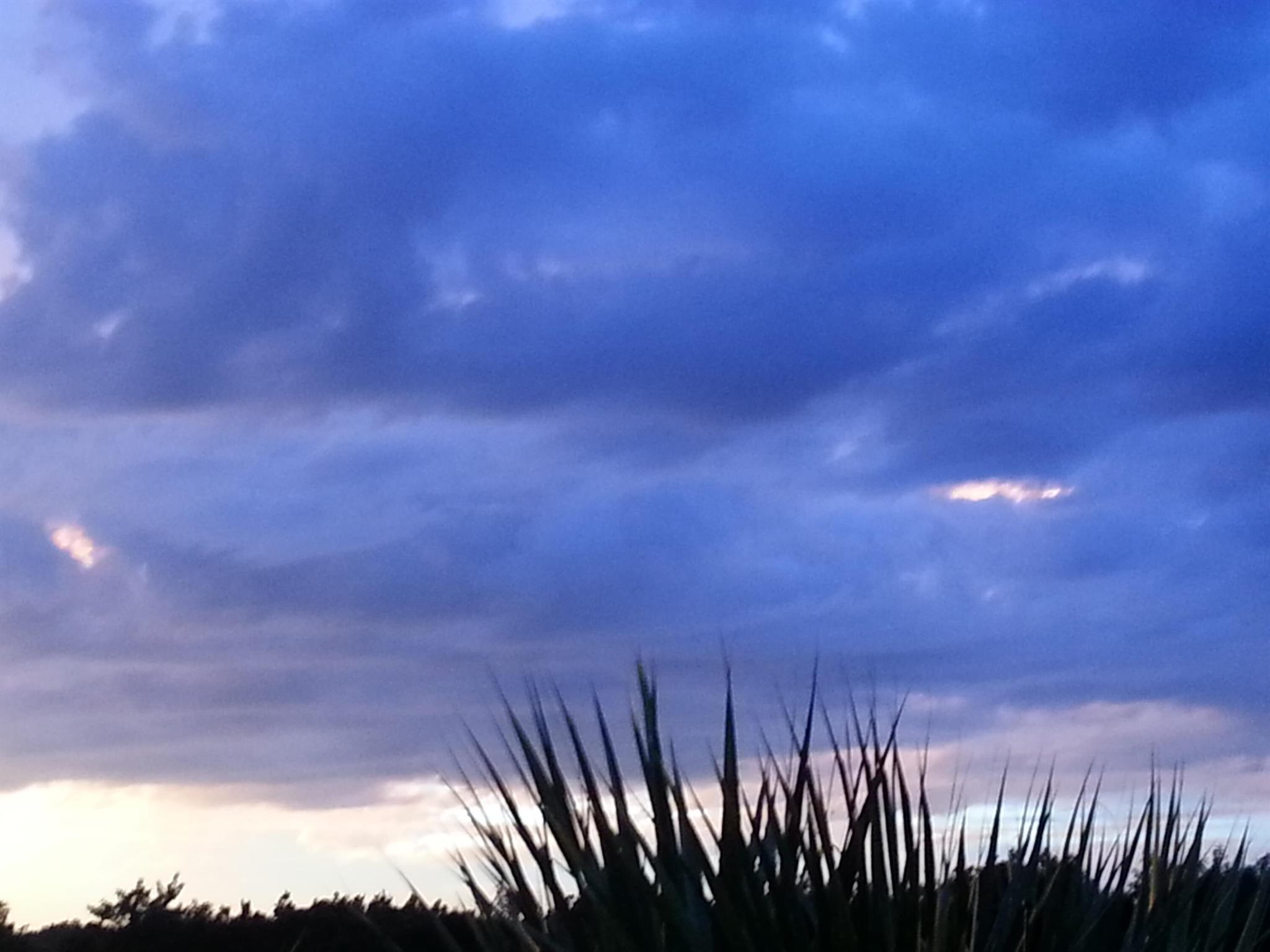 REPLAT OF SABAL TRACE SUB - Residential Lease