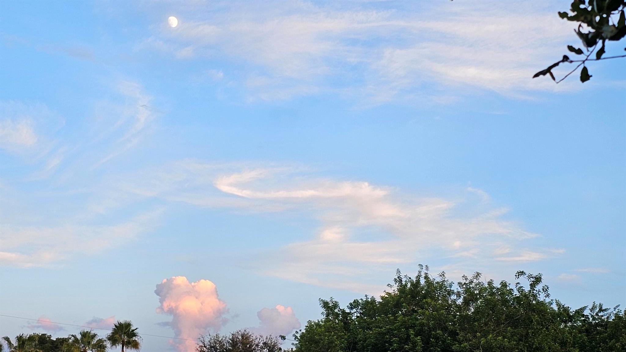 REPLAT OF SABAL TRACE SUB - Residential Lease