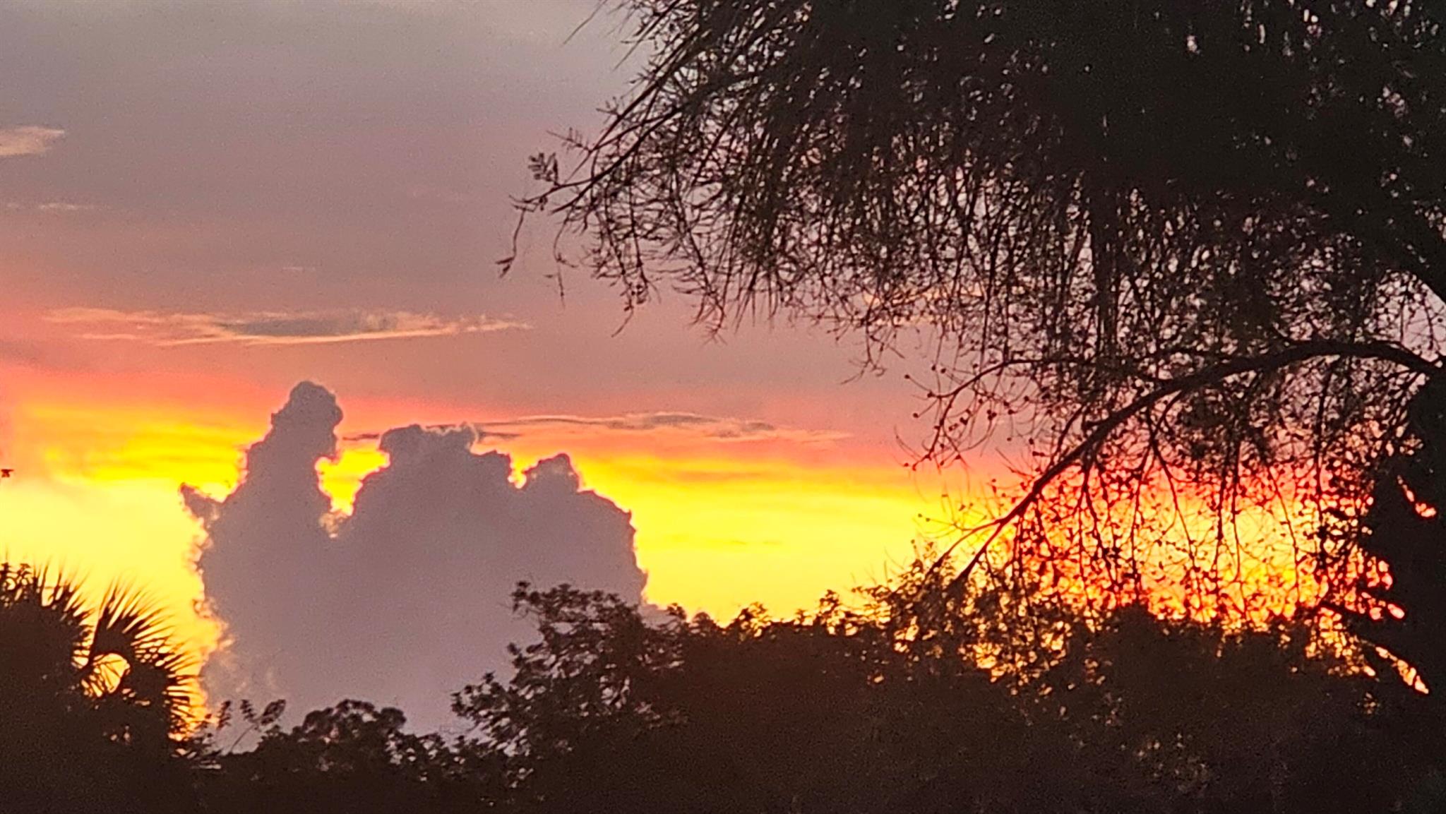 REPLAT OF SABAL TRACE SUB - Residential Lease