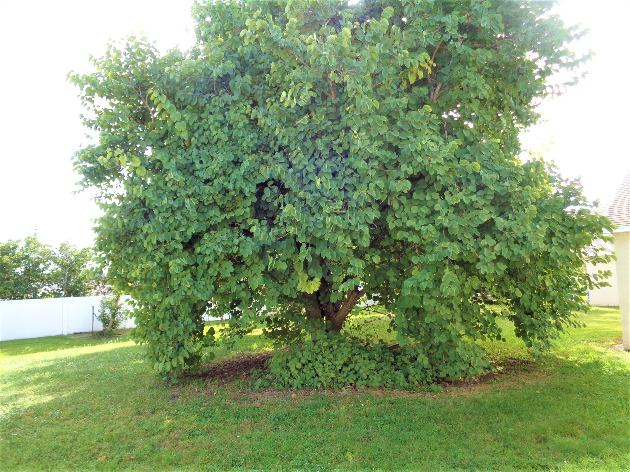 REPLAT OF SABAL TRACE SUB - Residential Lease