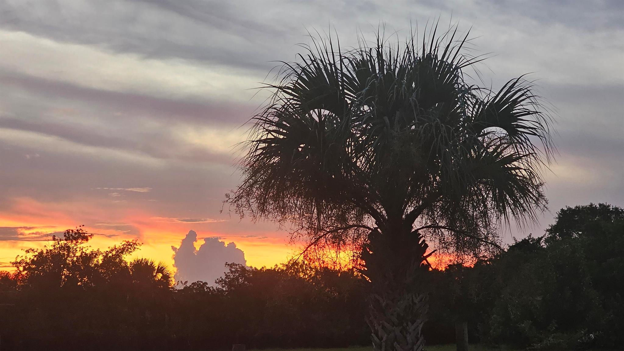 REPLAT OF SABAL TRACE SUB - Residential Lease