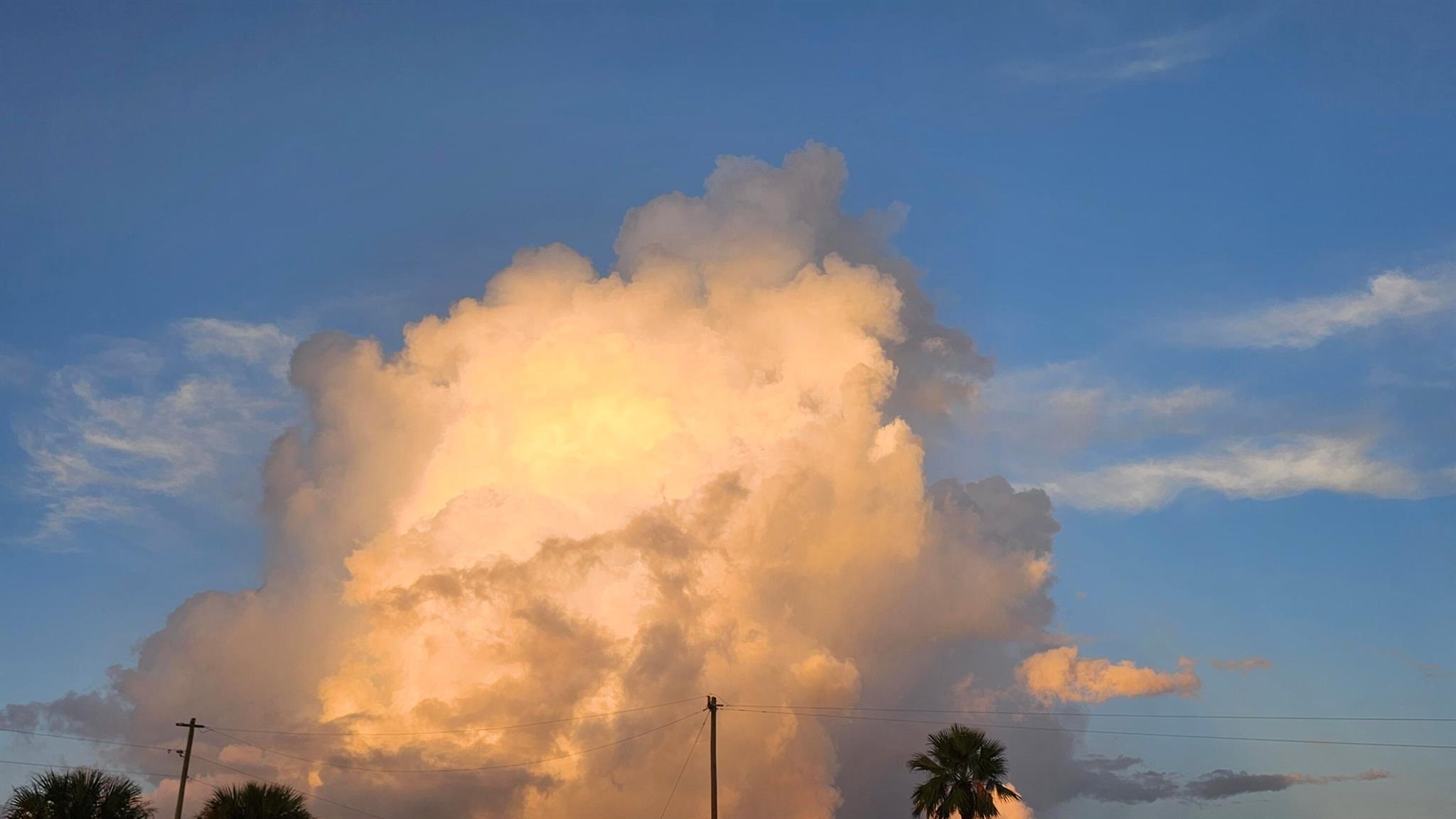 REPLAT OF SABAL TRACE SUB - Residential Lease