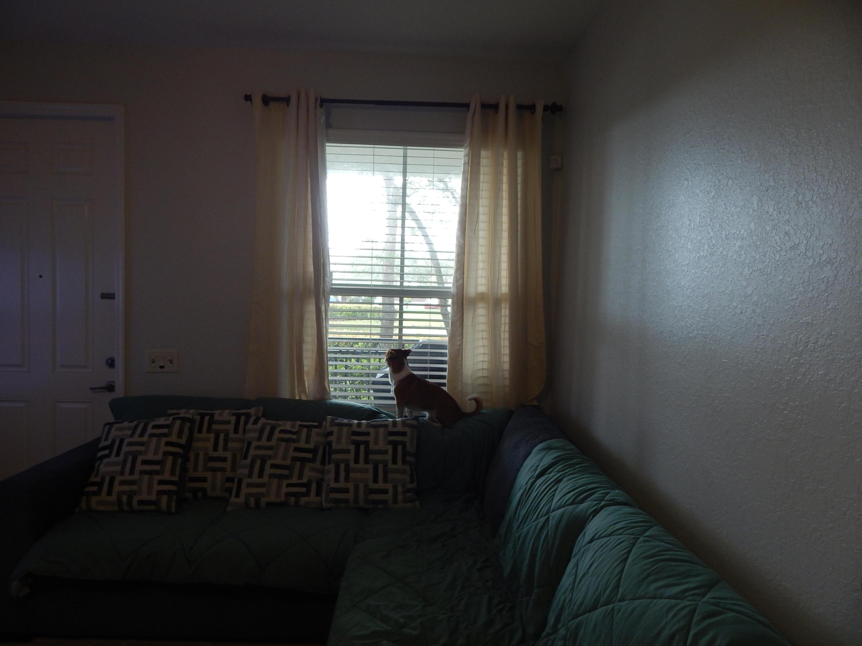 PALOMA LAKES CONDOMINIUM NO 1 - Residential