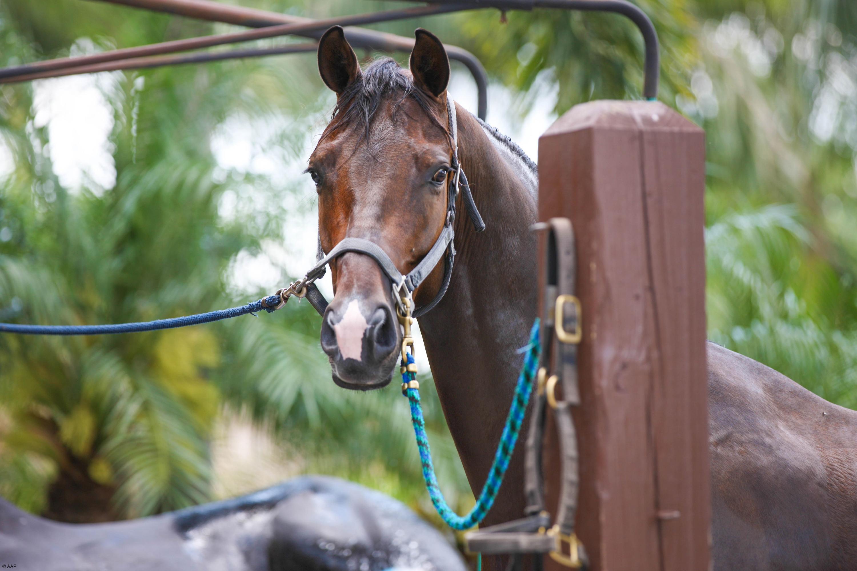 Saddle Trail Park of Well - Residential
