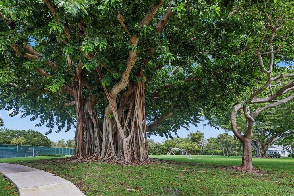 BOCA RATON BATH & TENNIS CLUB - Residential