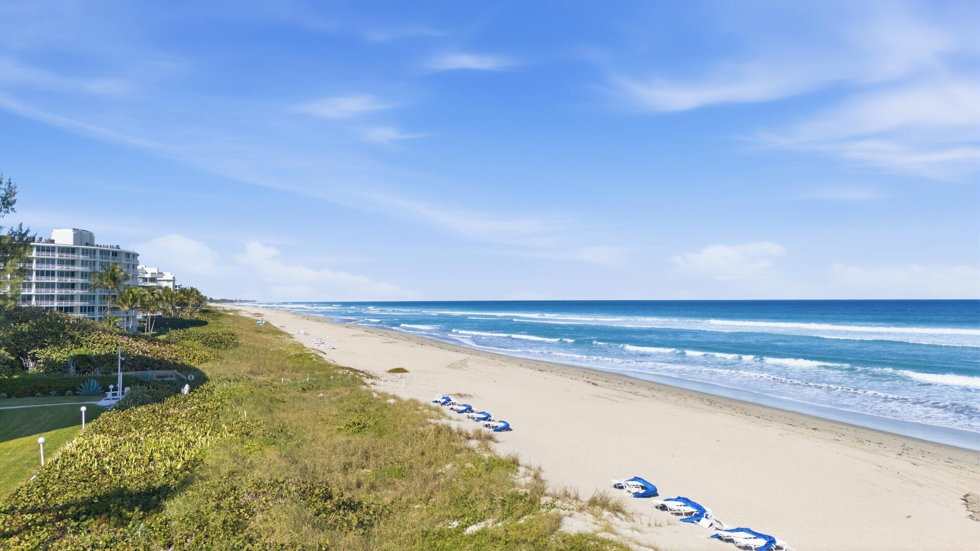 AMBASSADOR - Residential