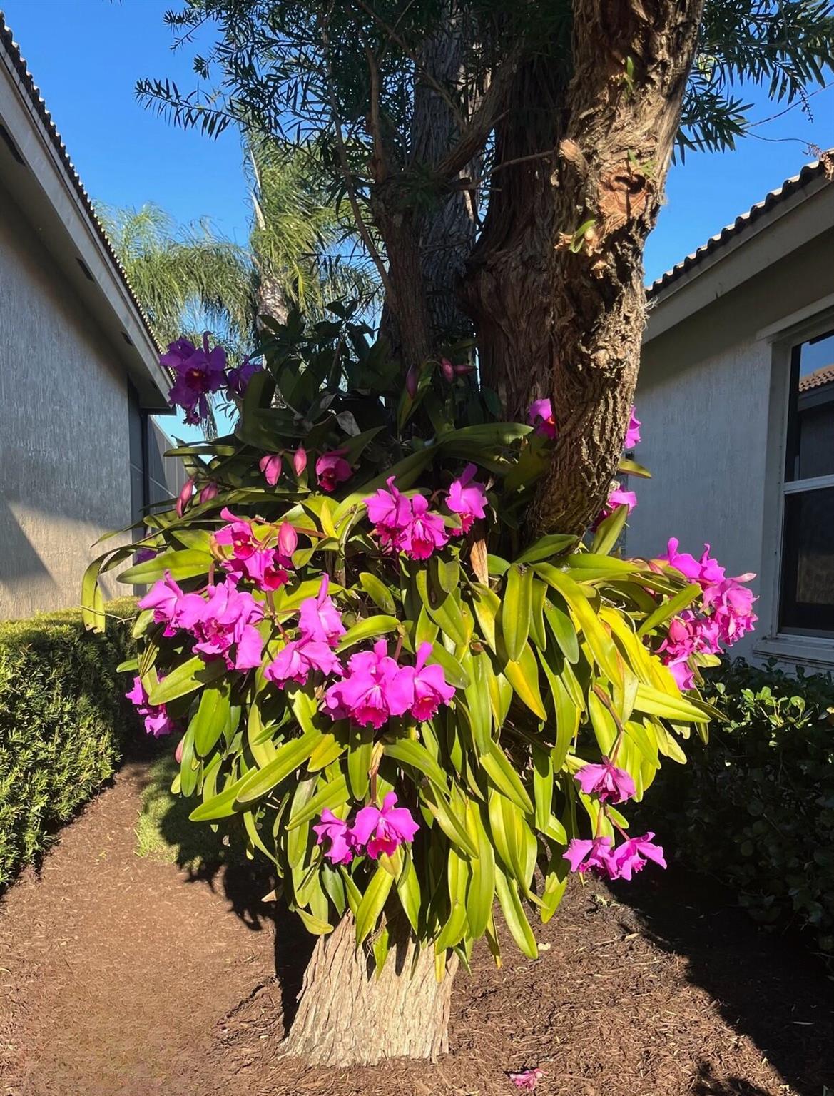 THE RESERVE PHASE 1 KINGS - Residential