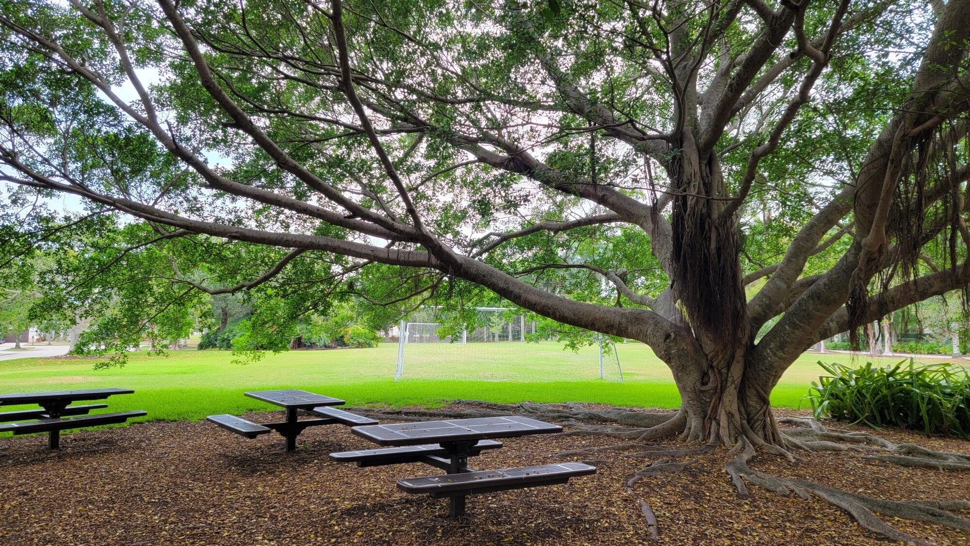 Cameron Lake - Residential