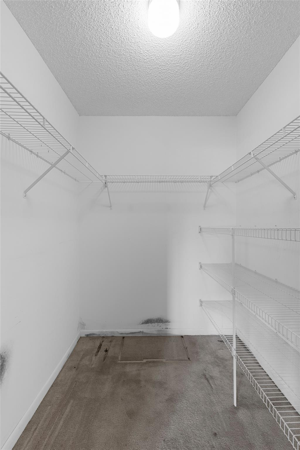 TRENT CONDOMINIUM - Residential