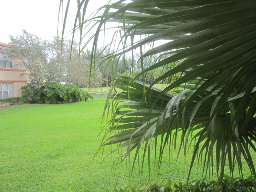 Coral Key - Residential