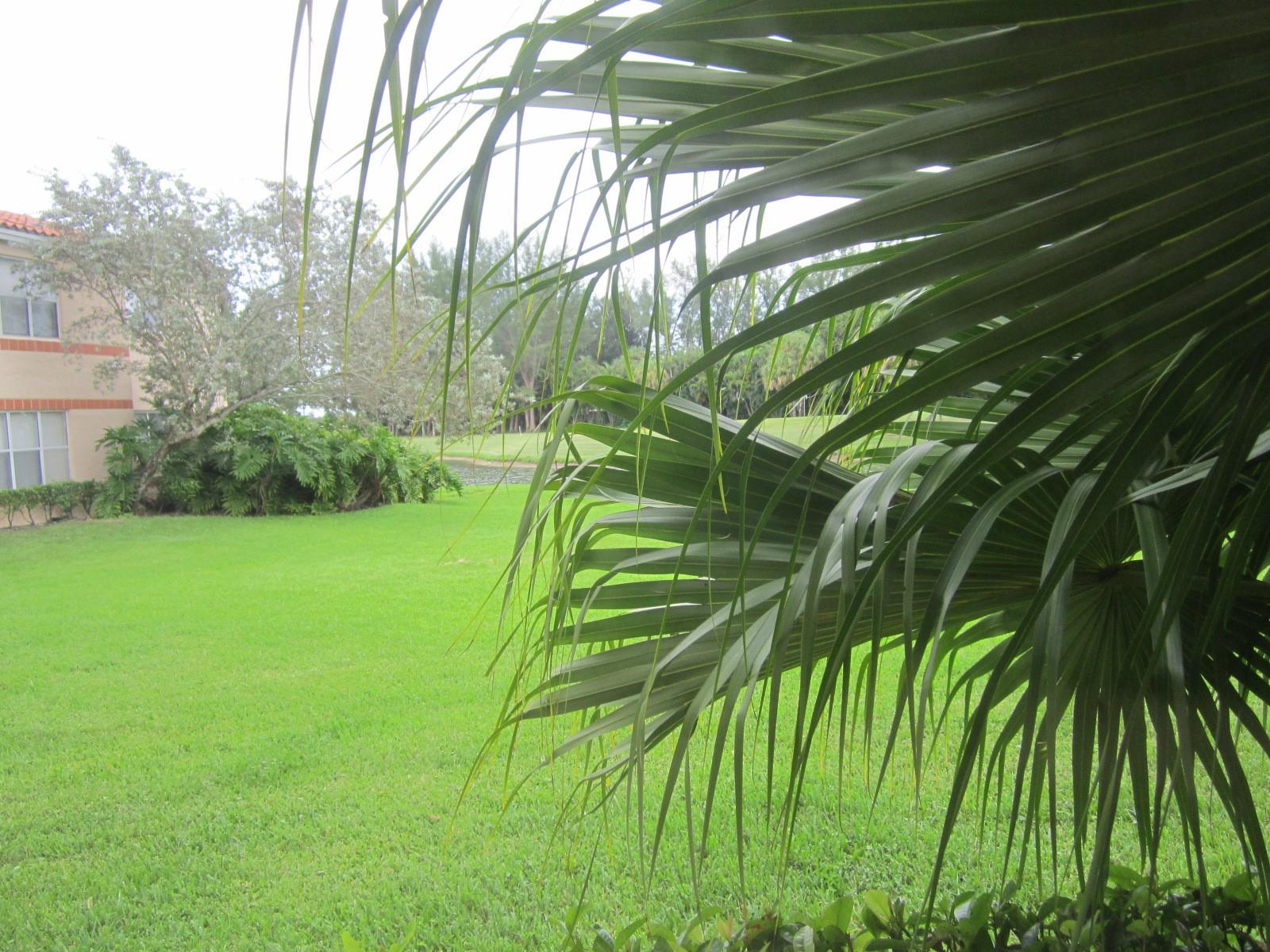 Coral Key - Residential