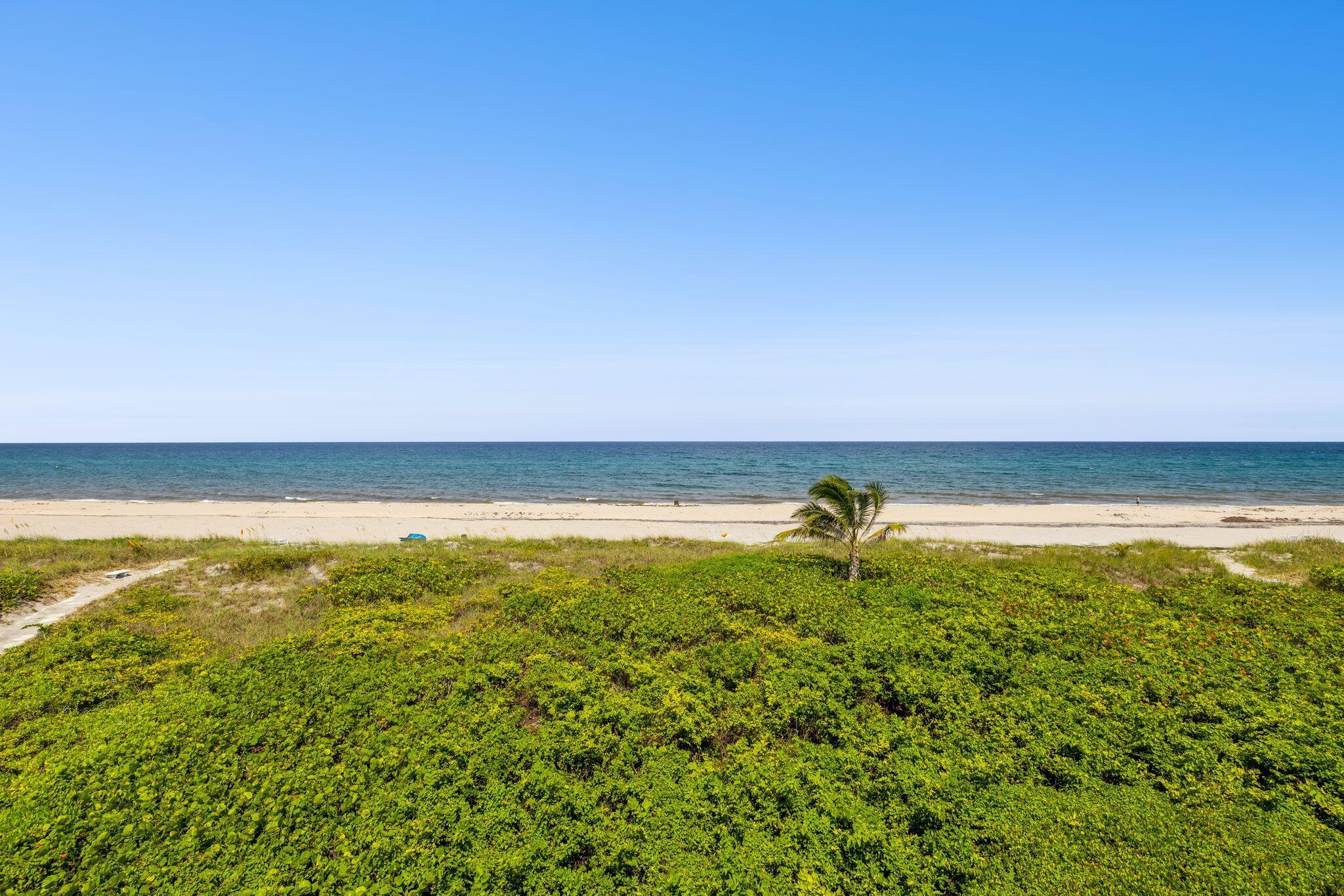 OCEAN PLACE-2155 CONDO - Residential