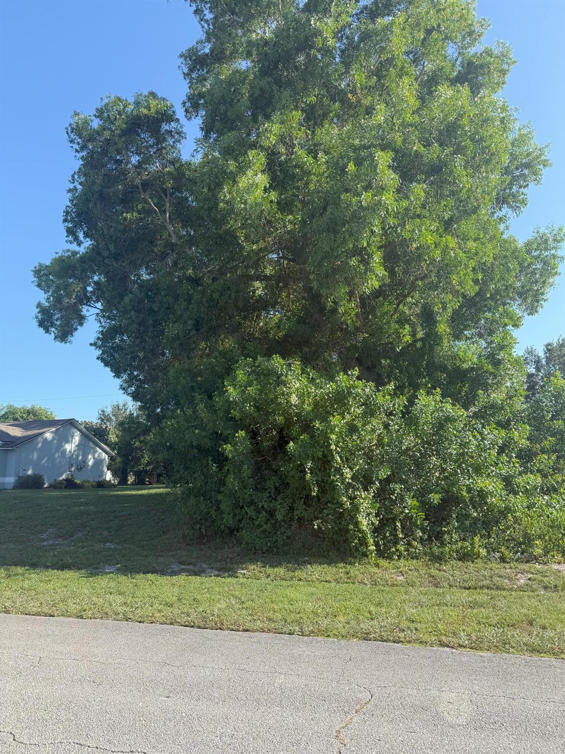 Partially cleared lot.