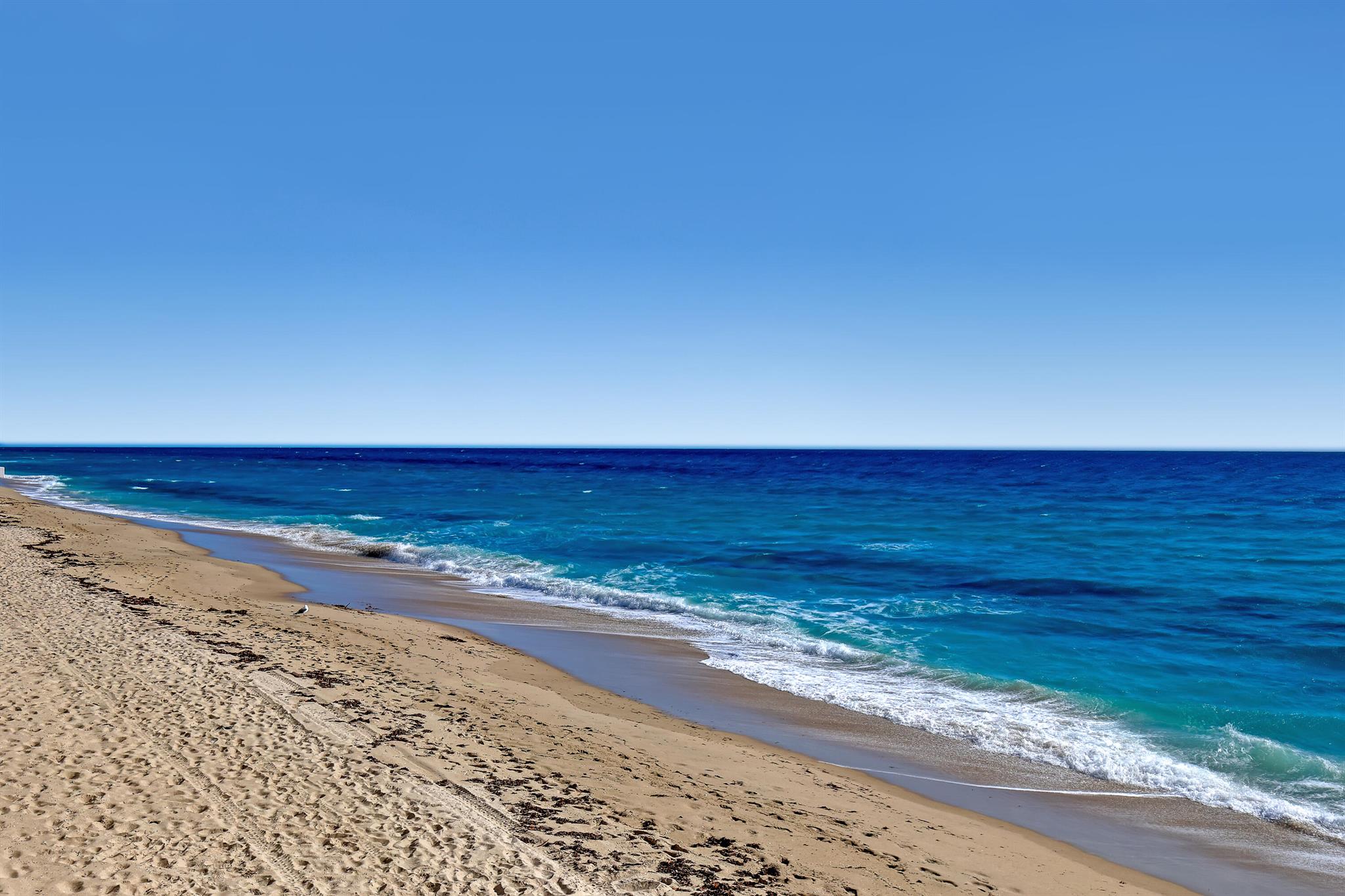 DUNE DECK OF THE PALM BEA - Residential