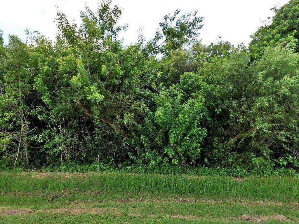 Photo of 2401 River Branch Drive, Fort Pierce, FL 34981 (MLS # R10660653)