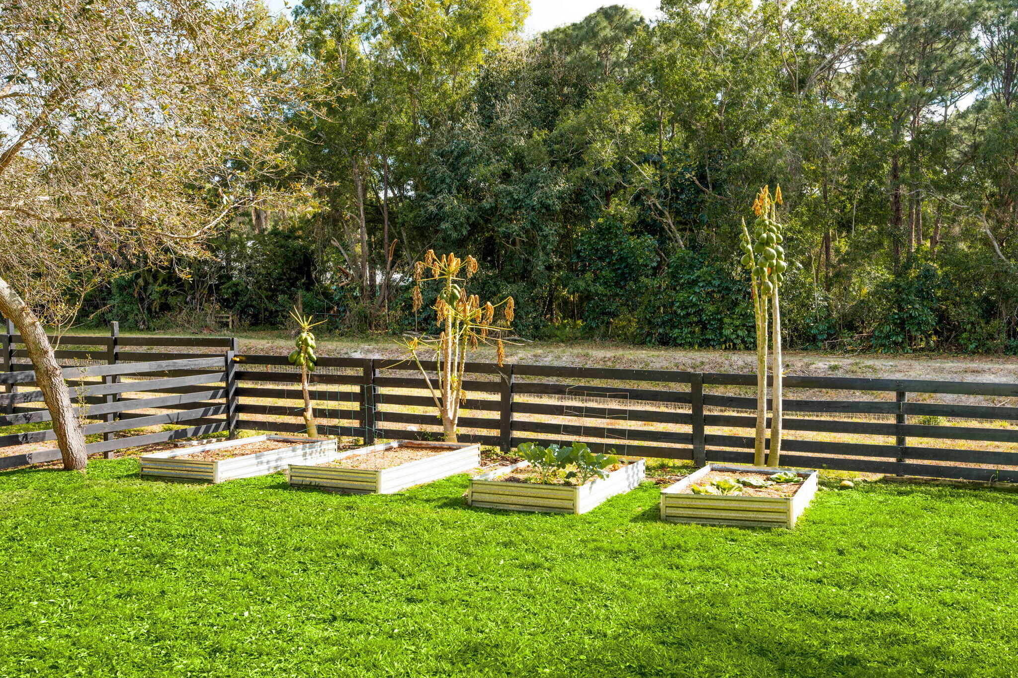 Palm Beach Country Estates - Residential