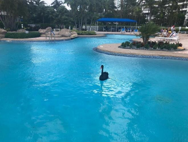 Mystic Pointe Condo - Residential Lease