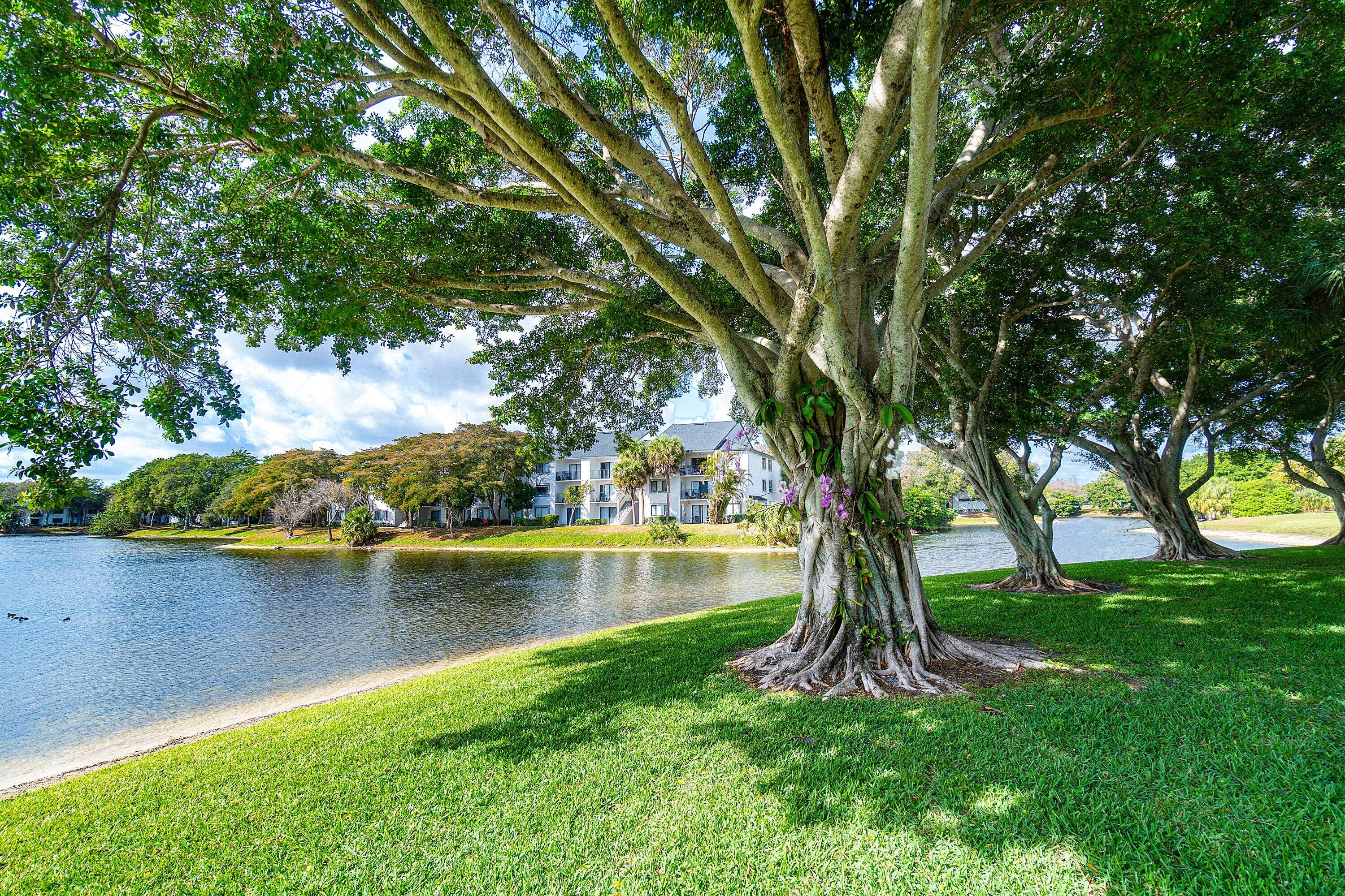 BANYAN SPRINGS - Residential