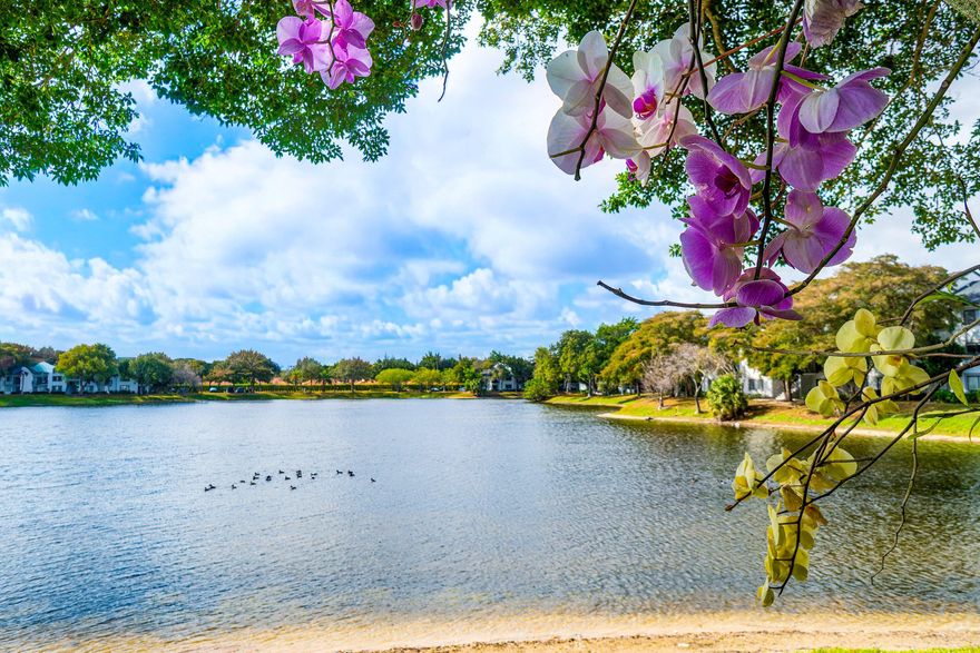 This 2/2 condo is located on a big beautiful lake with mature banyan trees, ducks, turtles & tropical birds!  Banyan Springs is a very active gated community w/ 2 resort pools & spas, show hall for shows parties & dances, cafe bistro, pickleball & tennis, billiards.  The kitchen has been updated with granite countertops, white shaker cabinets & s/s appliances. The primary bedroom features double door entry and has sliding glass doors that lead out to the screened lanai.  The second bedroom Has an ensuite bathroom & a walk in closet.  Relax on the screened lanai in the cool breezes or open the the front door & sliding glass doors to enjoy an amazing cross breeze!  Steps to the main clubhouse to meet friends for lunch or steps to the cabana pool for a quiet relaxing day catching rays!