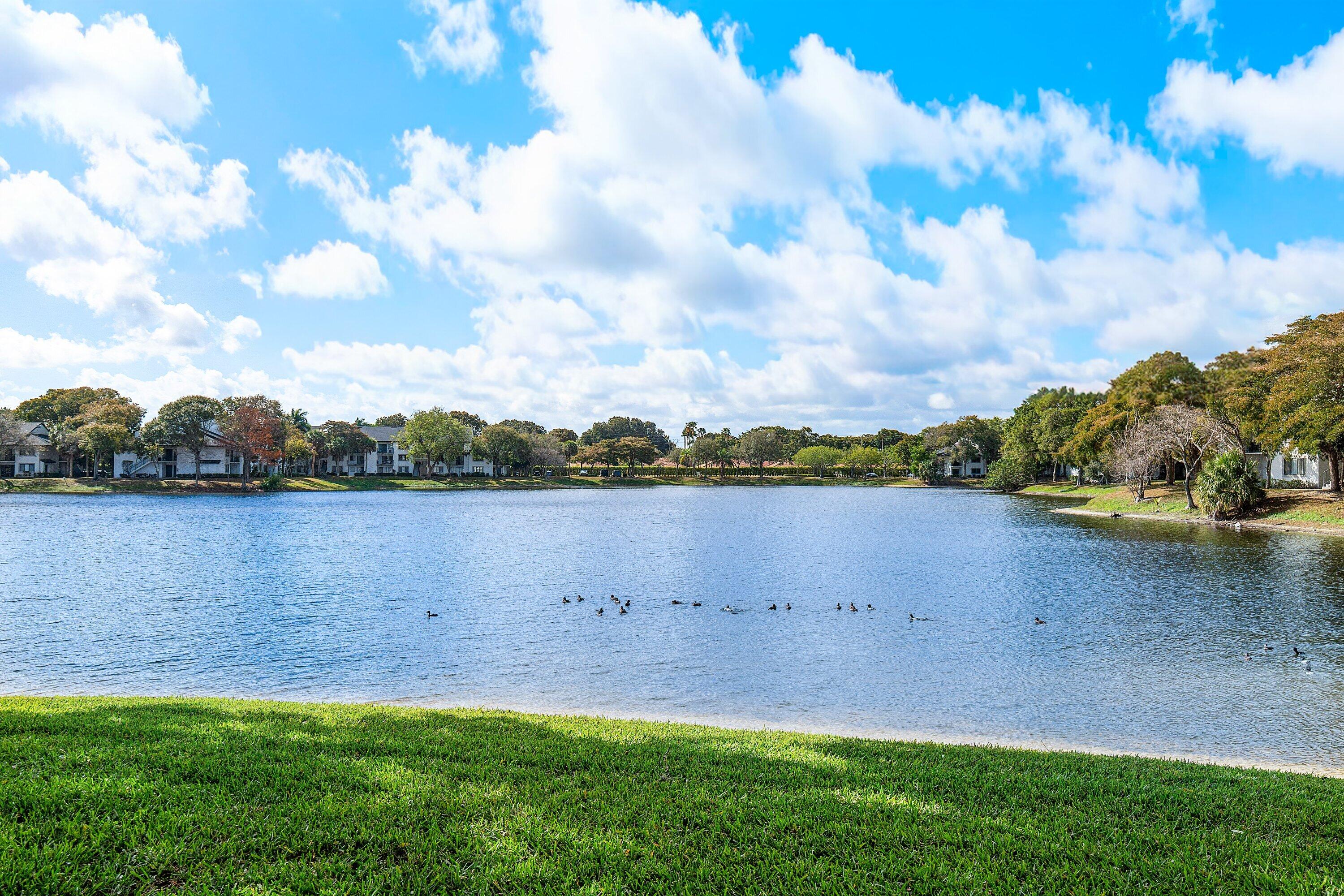 BANYAN SPRINGS - Residential
