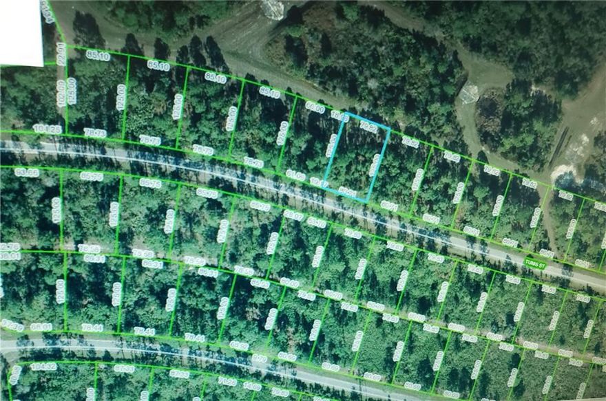 NICE LOT LOCATED IN HIGHLANDS COUNTY, SEBRING FLORIDA; PROPERTY IS IN PRIVATE COMMUNITY OF SUN N LAKE OF SEBRING IMPROVEMENT DISTRICT; GREAT POTENTIAL; VERY MOTIVATED SELLER, OWNER/AGENT.