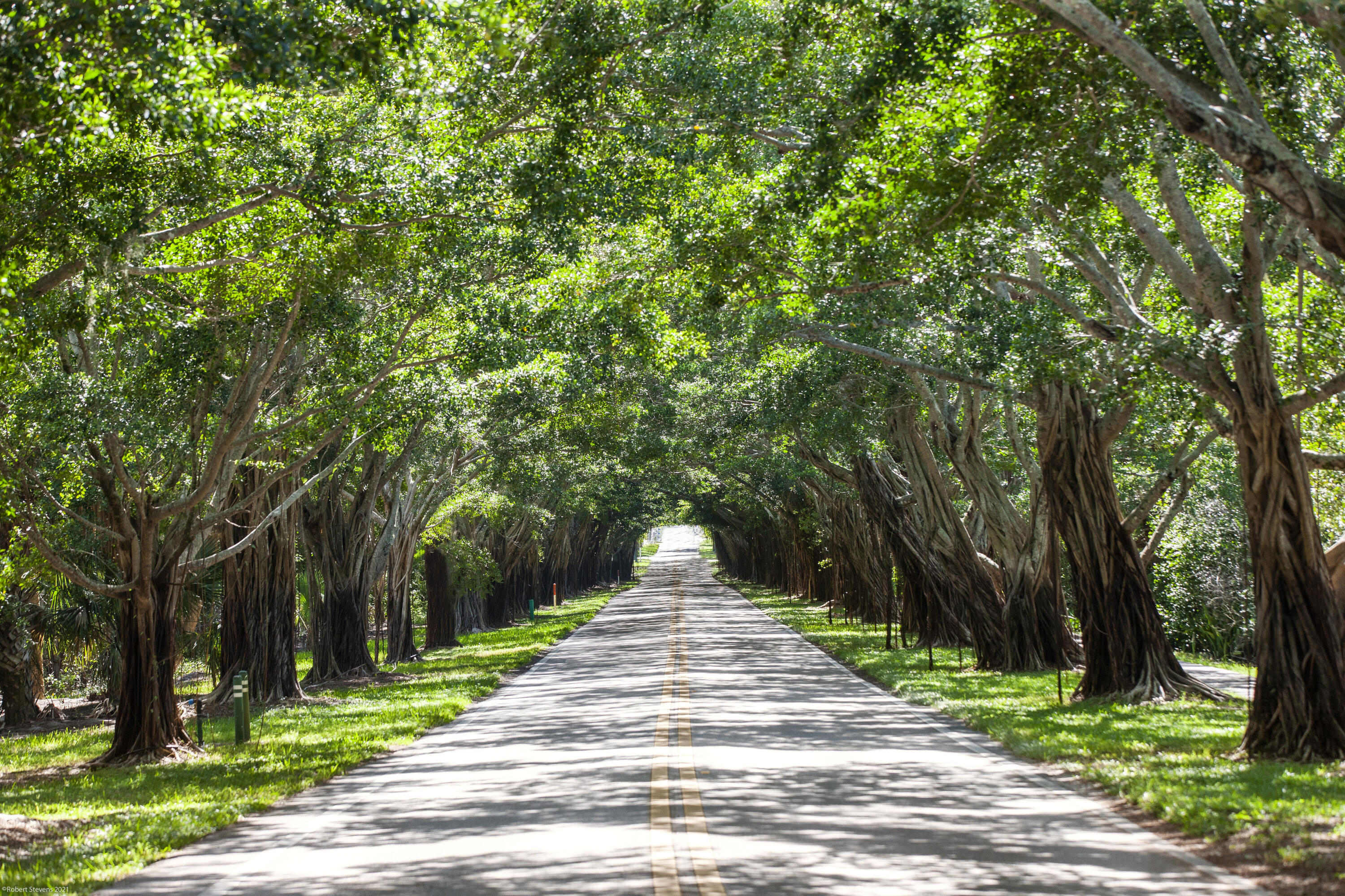 JUPITER ISLAND - Residential
