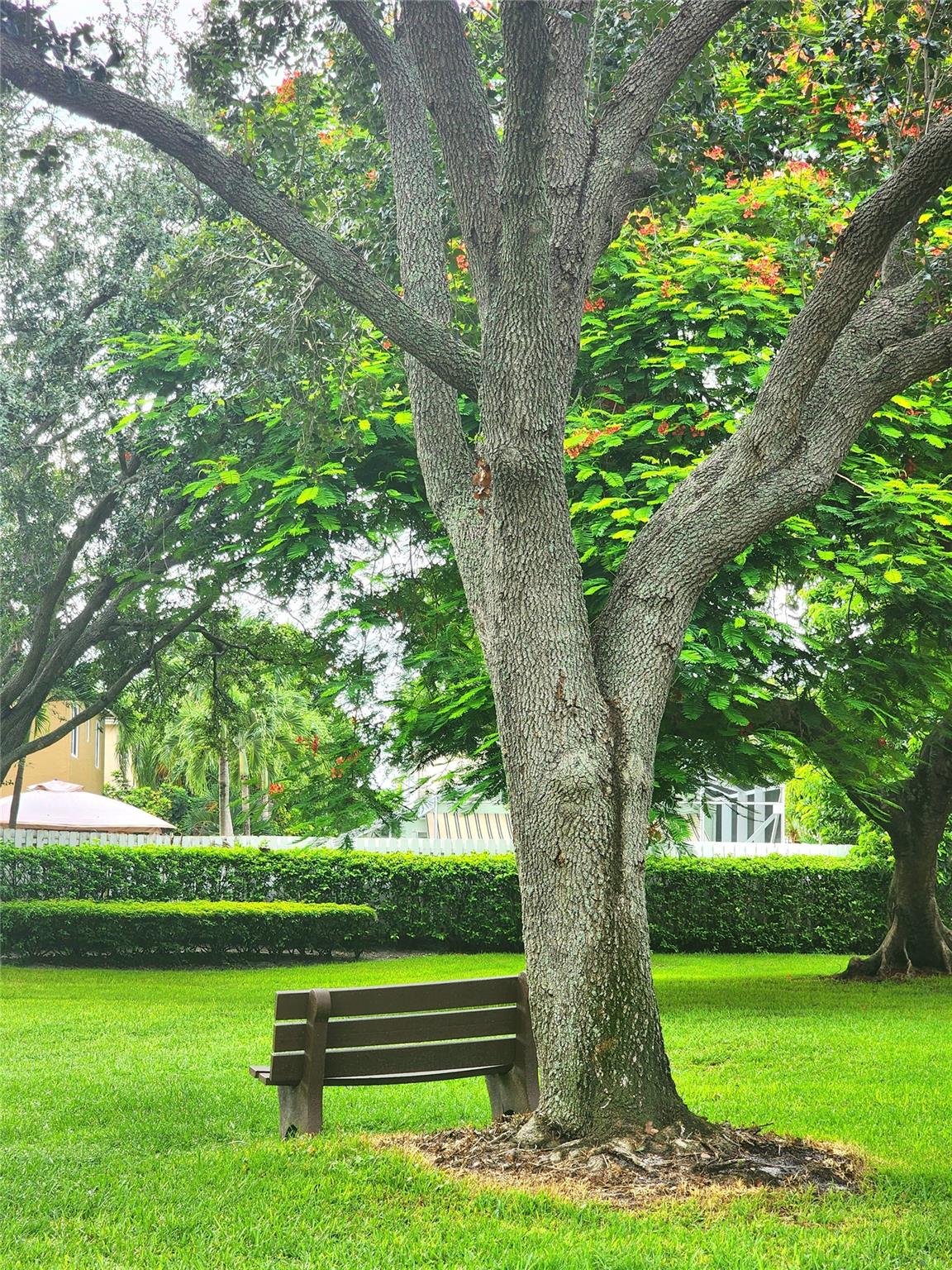 CHATHAM TOWNE - Residential