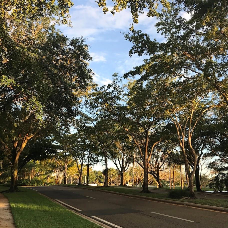 CHATHAM TOWNE - Residential