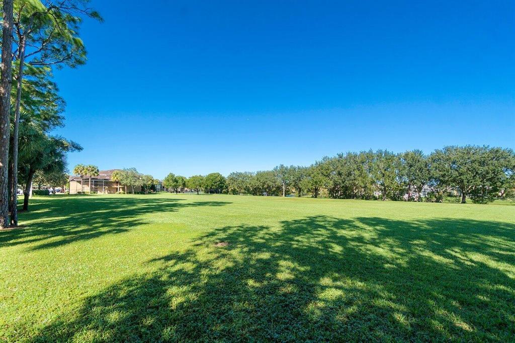 OLIVE TREE PAR 6A - Residential