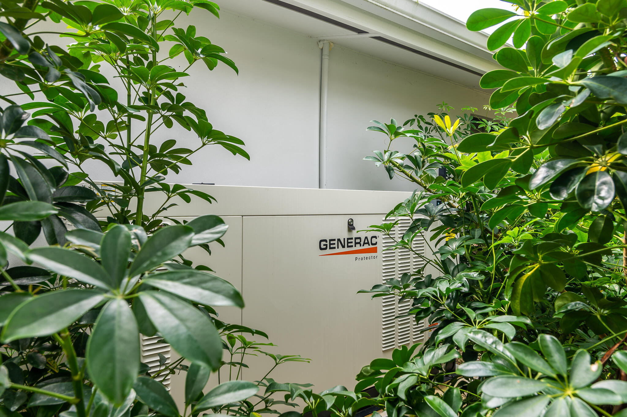 Seagate CC at the Hamlet - Residential