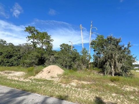 1301 St Augustine Court Poinciana FL 34759