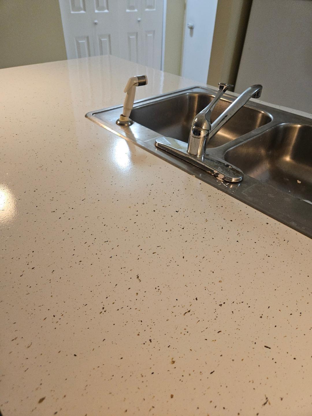 Coral Spgs Tower Club II - Residential Lease