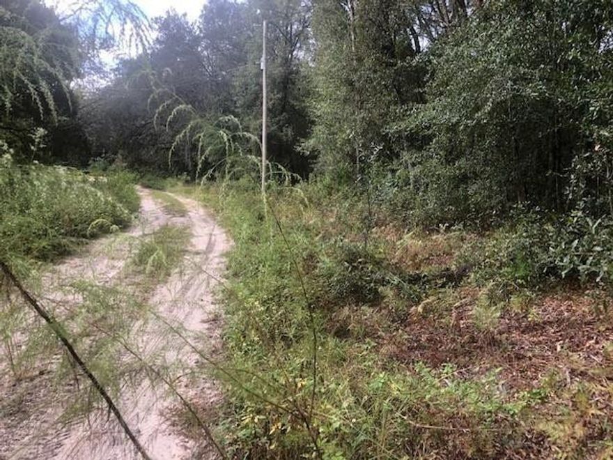 Mobile Homes permitted on this oversized building lot in Satsuma, FL with owner financing. For only $1,500 down, you can own this beautiful wooded home site.