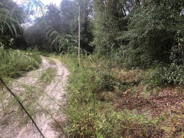 Mobile Homes permitted on this oversized building lot in Satsuma, FL with owner financing. For only $1,000 down, you can own this beautiful wooded home site.