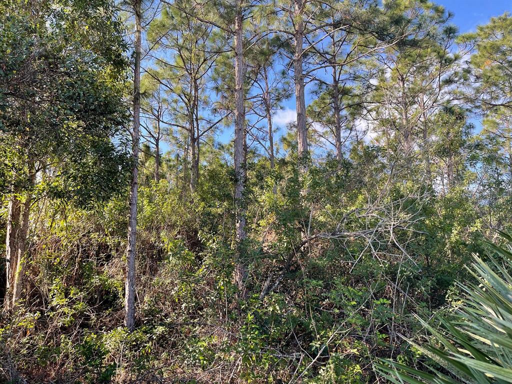 Oversized 1.92 acre lot at the end of the street facing a preserve! Large canal on the North side and a small canal on the East side. Very private location. ideal lot to have horses. All information deemed reliable but not guaranteed. Buyer's responsibility to verify.
