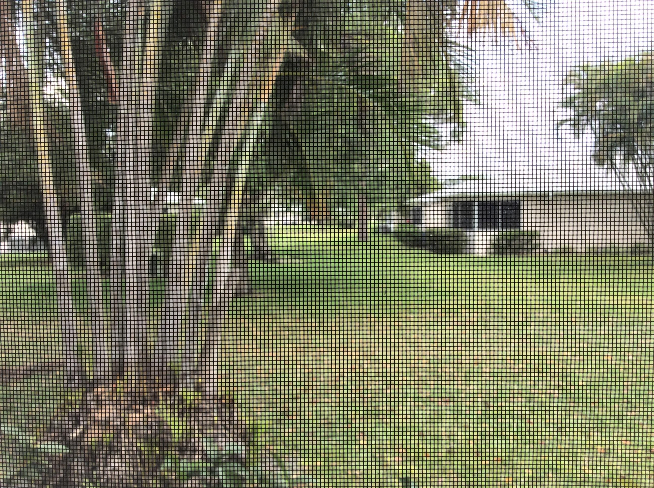 COVERED BRIDGE - Residential