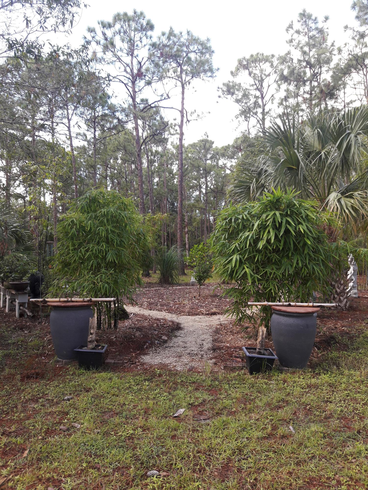 Wiley's Landing - Residential