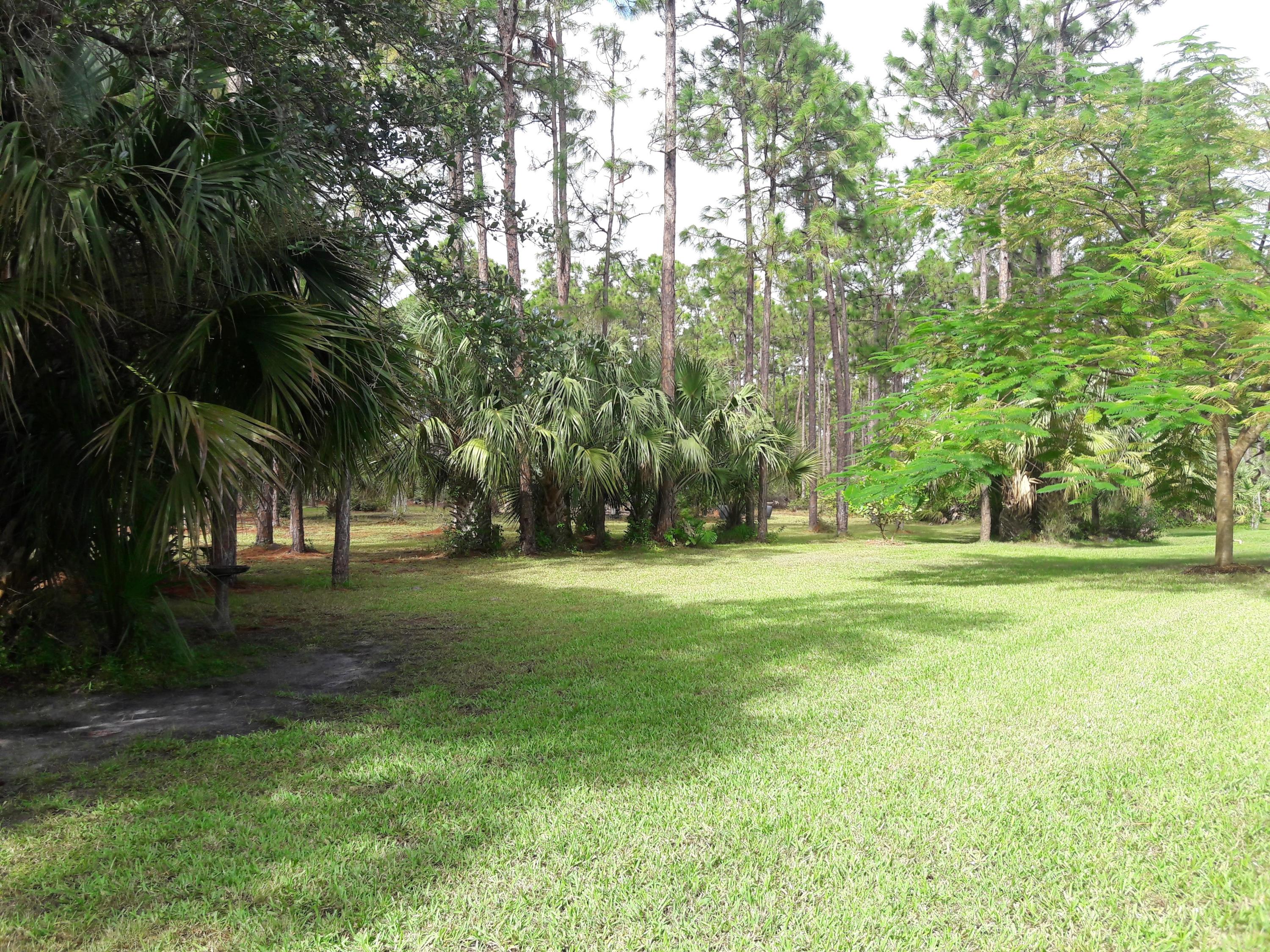 Wiley's Landing - Residential