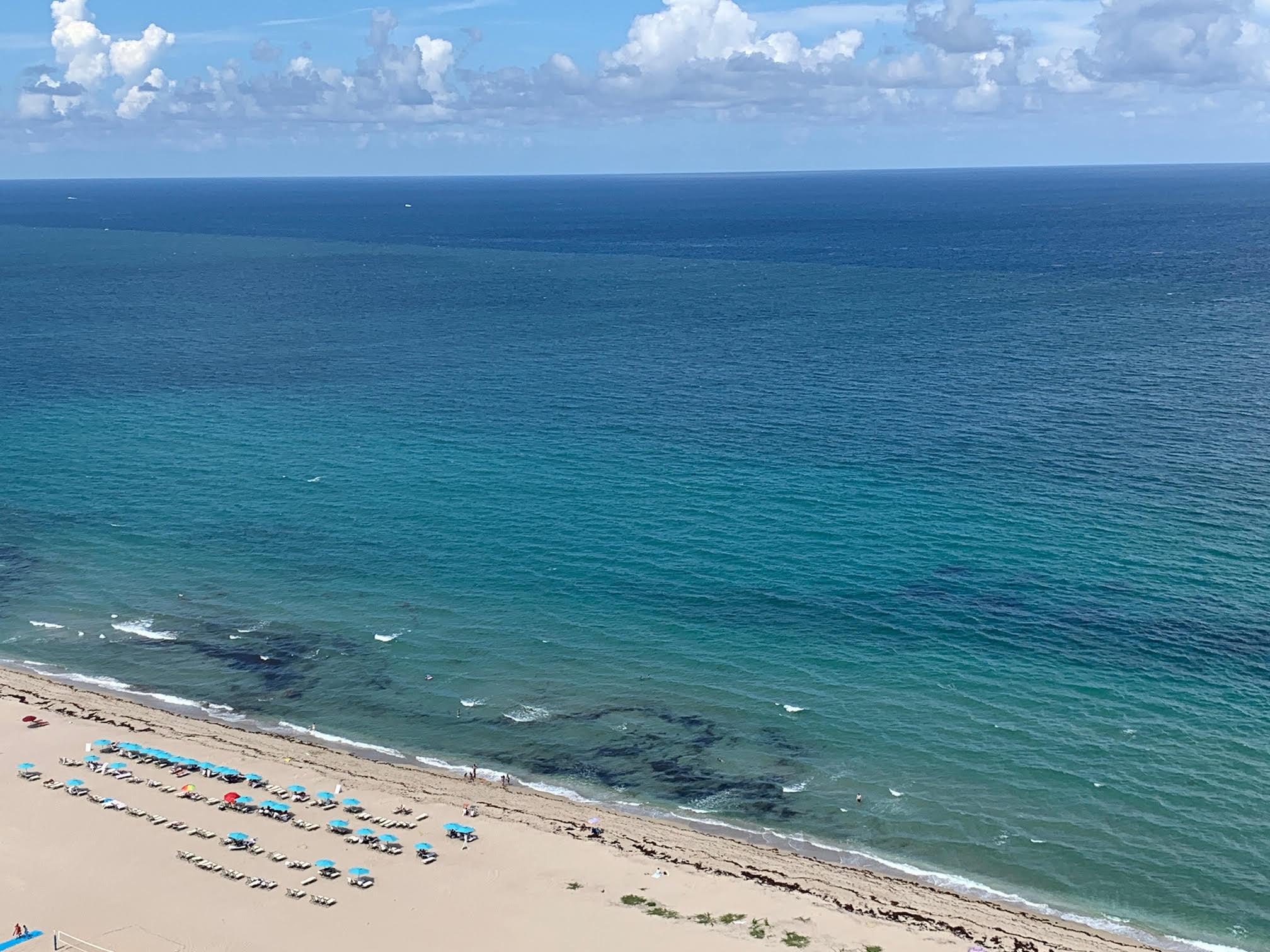 Enjoy the ''wow factor'' of the ocean view every time you come home. Once inside, enjoy intracoastal views and the evening lights of the city as well. This 1BR/1.5BA unit is offered unfurnished for annual rental. Balcony access from living room and bedroom. Tiled throughout. Stainless appliances and granite counter tops in kitchen. Washer/Dryer inside unit. Tiara, a luxury amenity building offers a true resort lifestyle: valet, 24/7 concierge & staffed gate. A 1BR guest suite for guests of residents. Heated pool, separate jacuzzi, tennis, pickleball, men's & women's fitness centers w/ steam room, sauna, billiard room, library, & card room. Beachside restaurant - eat-in or delivery. 43rd floor Marquis lounge w/ 360 degree view + WiFi. 15 mins to 1st class shopping, dining & entertainment.