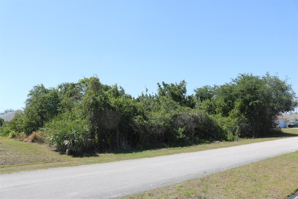 Photo of 3874 SW Hall Street, Port Saint Lucie, FL 34953 (MLS # R10707802)