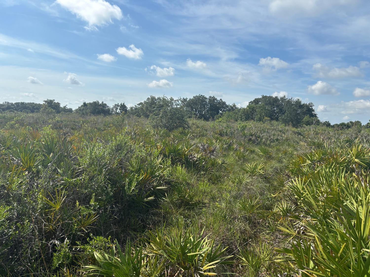 1.25 acre lot in Viking Estates. Close to the Kissimmee Prairie State Park. Bring your 4 -wheelers. This property is not only ideal for recreational uses such has camping, hunting and shooting, but it’s agricultural as well.
Owner Financing Available $2,500 down