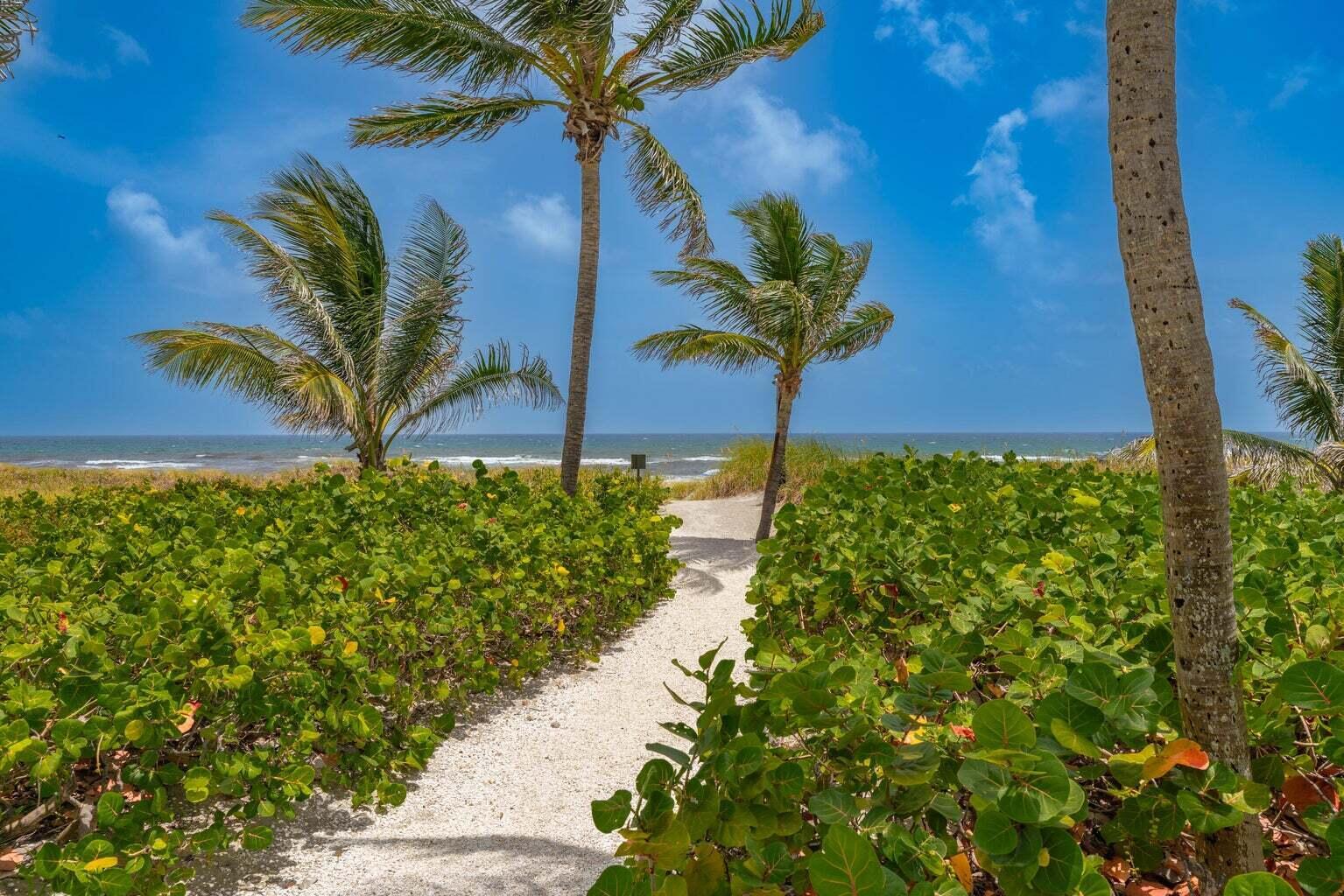 OCEAN DELRAY CONDO - Residential